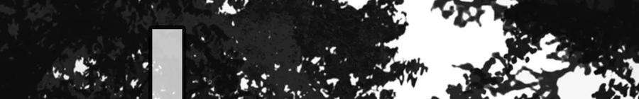 太子，你好甜160话 无头尸体