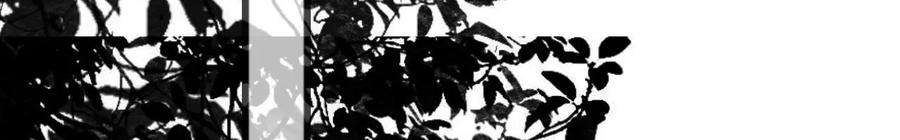 太子，你好甜165话 分头调查