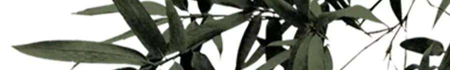 太子，你好甜167话 快躲起来