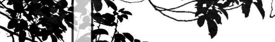 太子，你好甜169话 晚榕来找茬