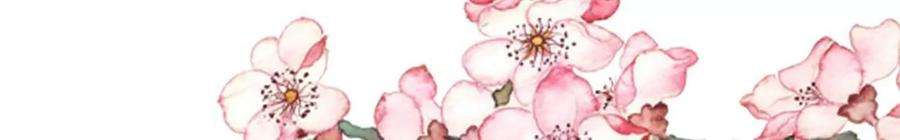 太子，你好甜173话 跟着我更“危险”