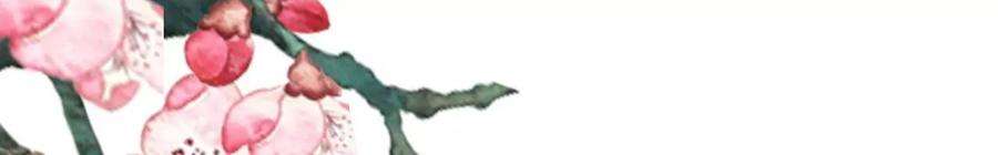 太子，你好甜173话 跟着我更“危险”