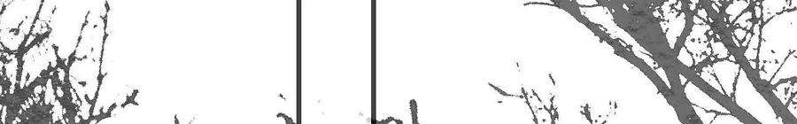 太子，你好甜173话 跟着我更“危险”