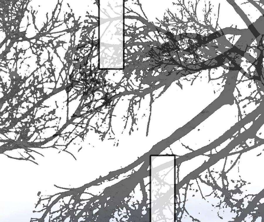 太子，你好甜173话 跟着我更“危险”