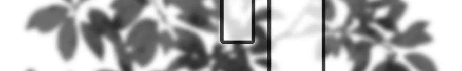 太子，你好甜174话 真云映喜欢鬼面人