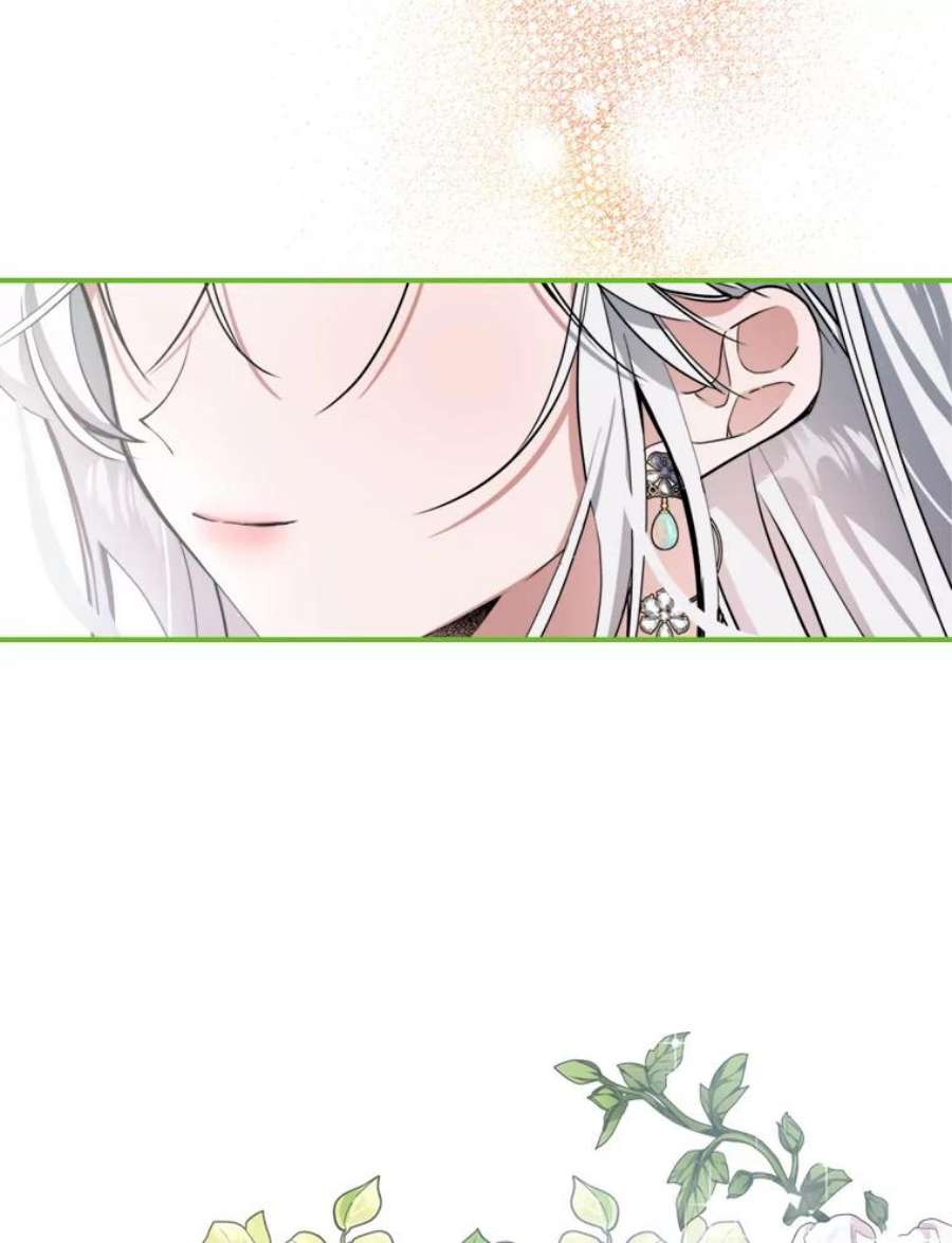 满级公女今天也很无聊13.小扒手