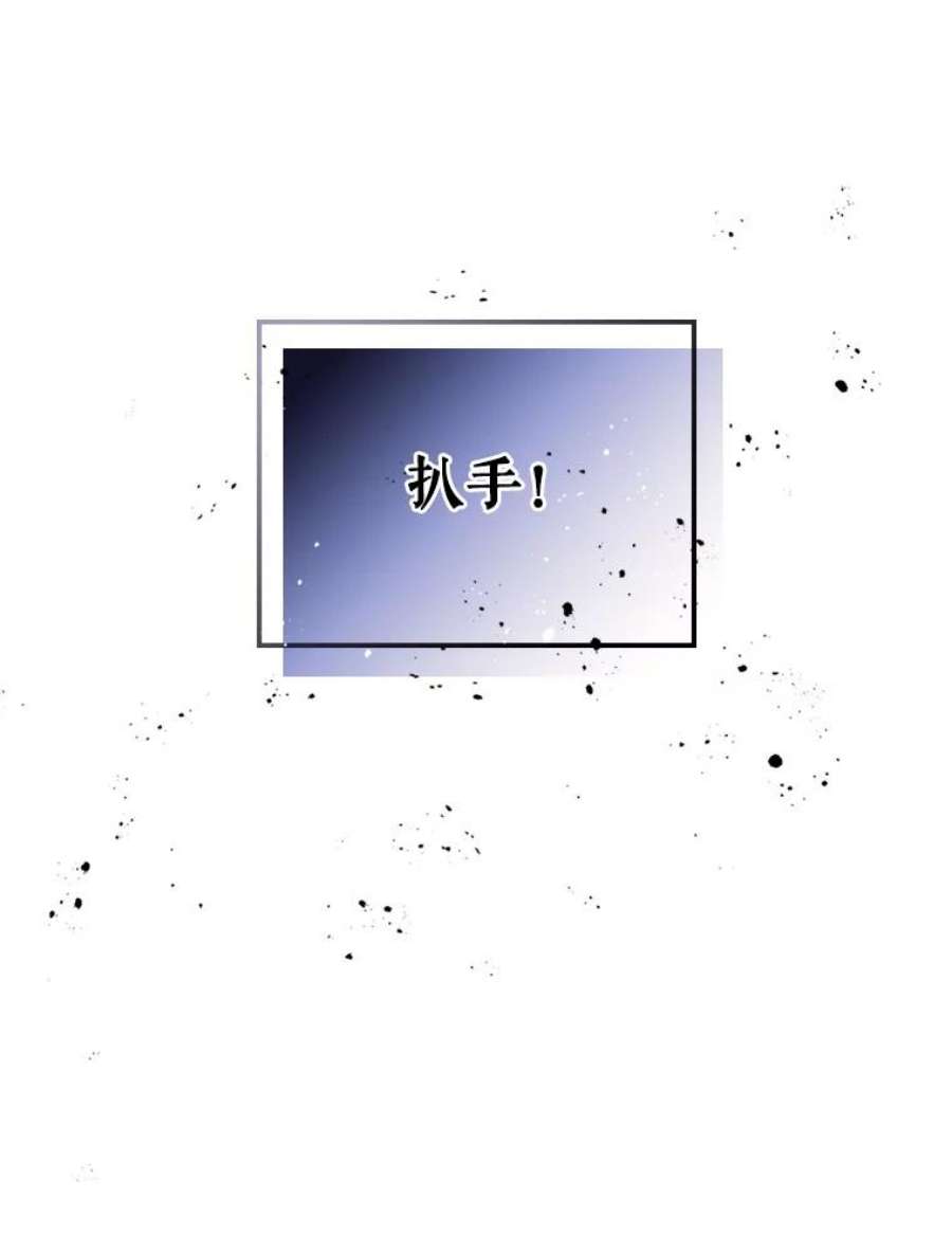 满级公女今天也很无聊13.小扒手