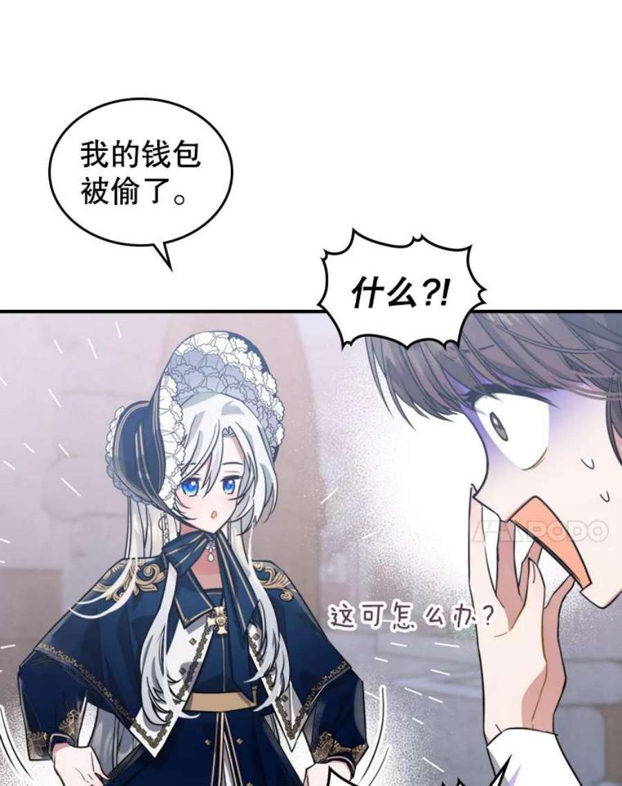 满级公女今天也很无聊13.小扒手