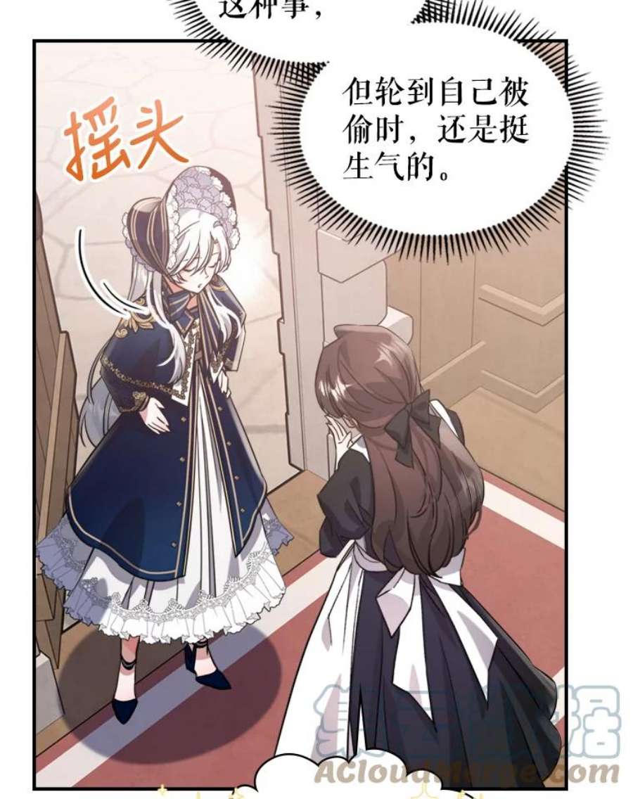 满级公女今天也很无聊13.小扒手