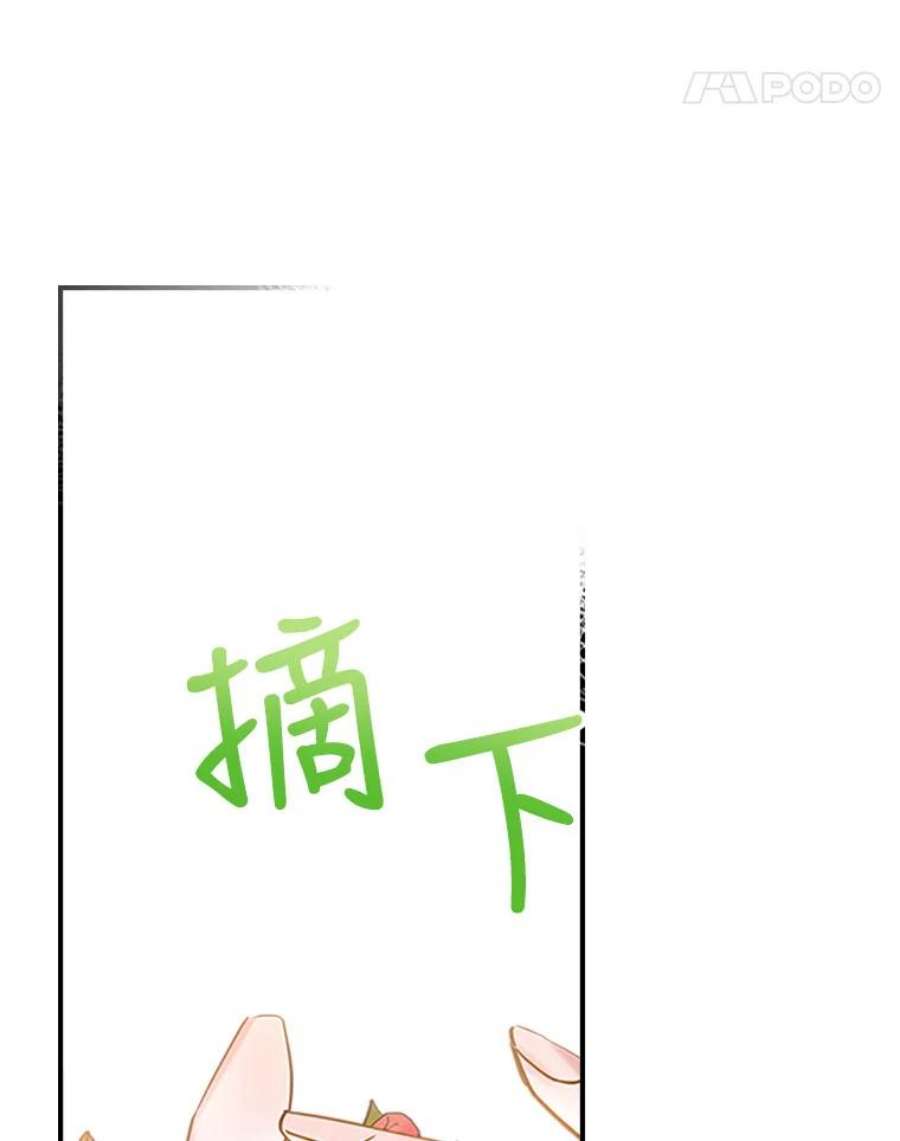 满级公女今天也很无聊27.花环