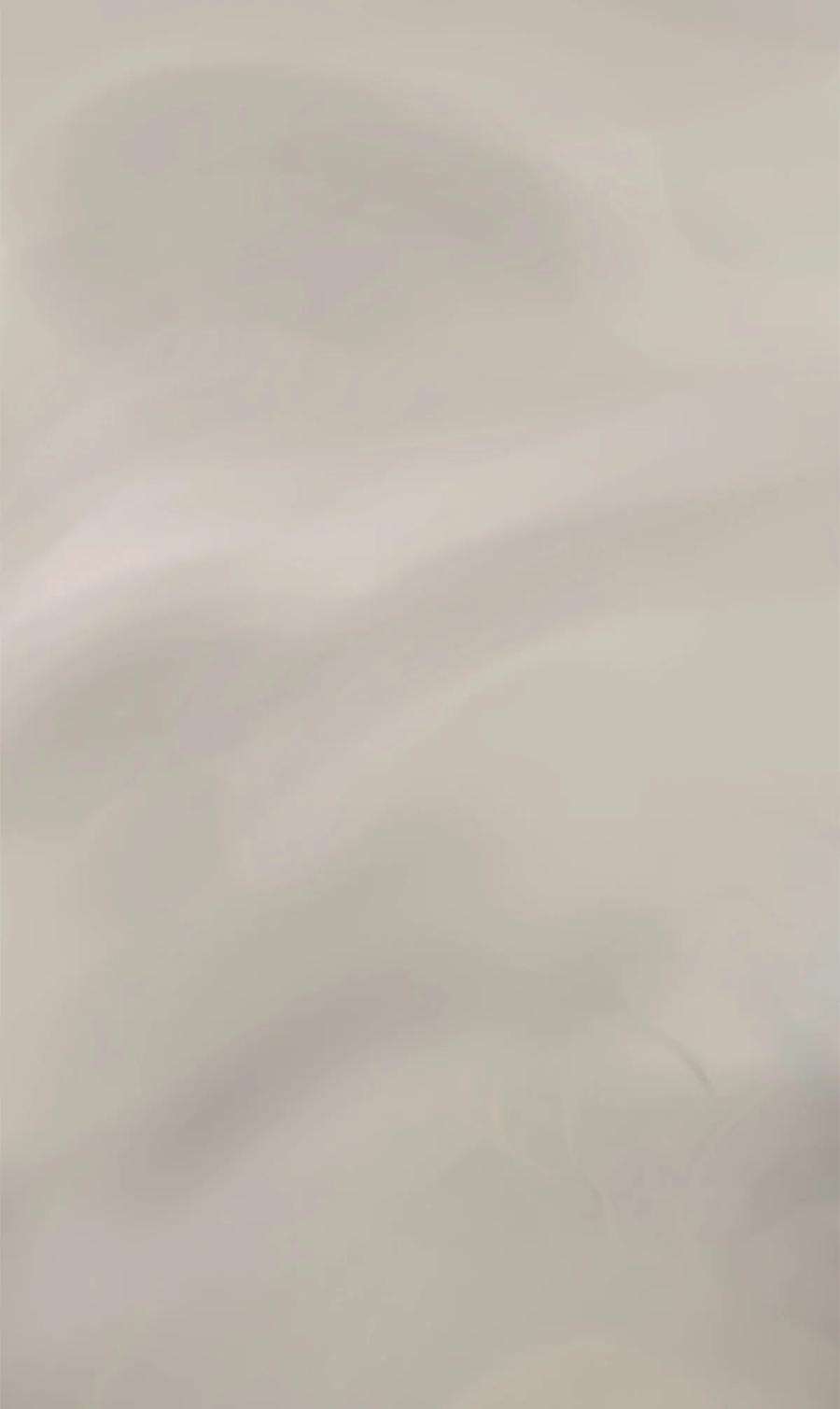 艾斯兰传说2 危机浮现