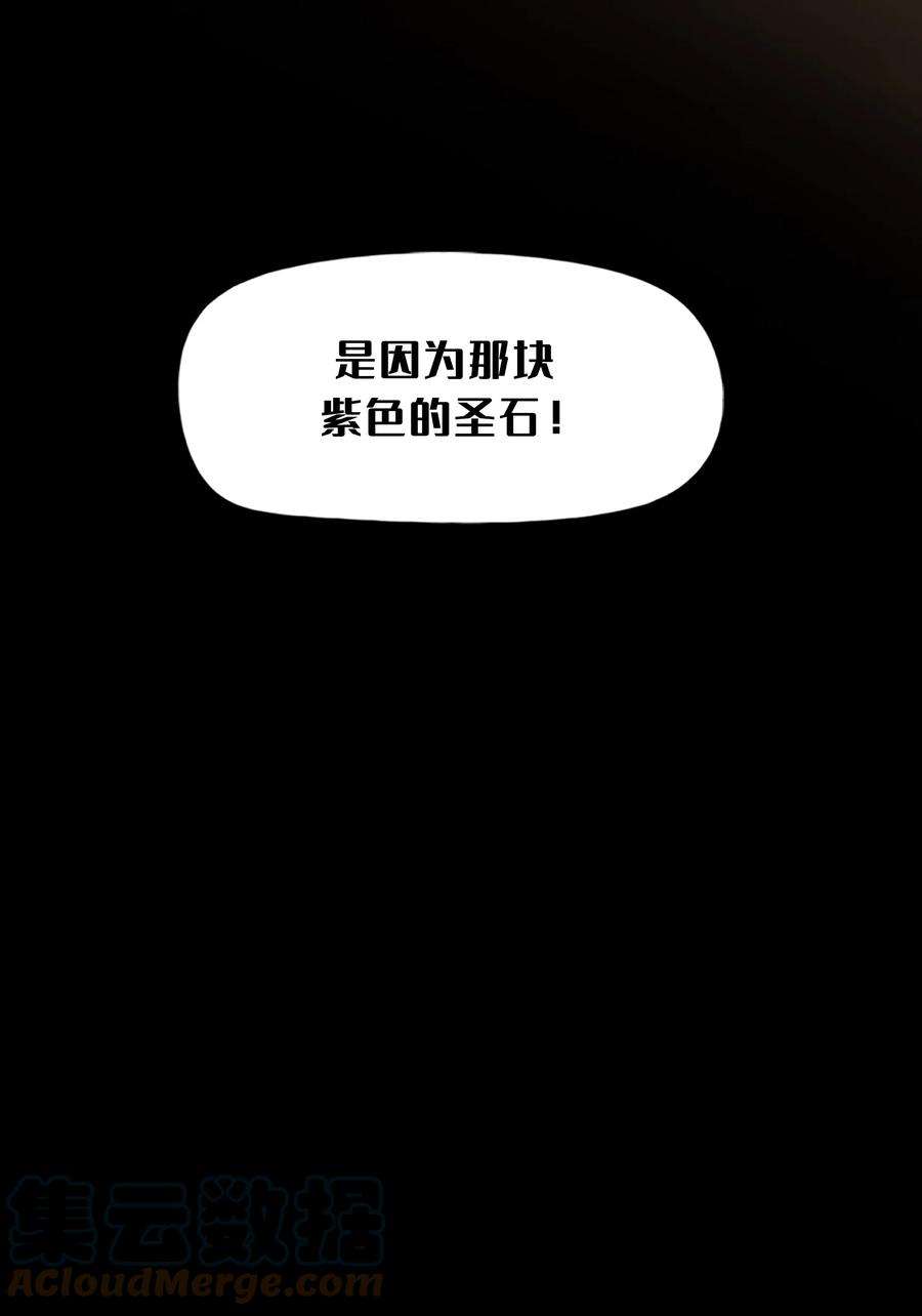 艾斯兰传说11 紫色的圣石