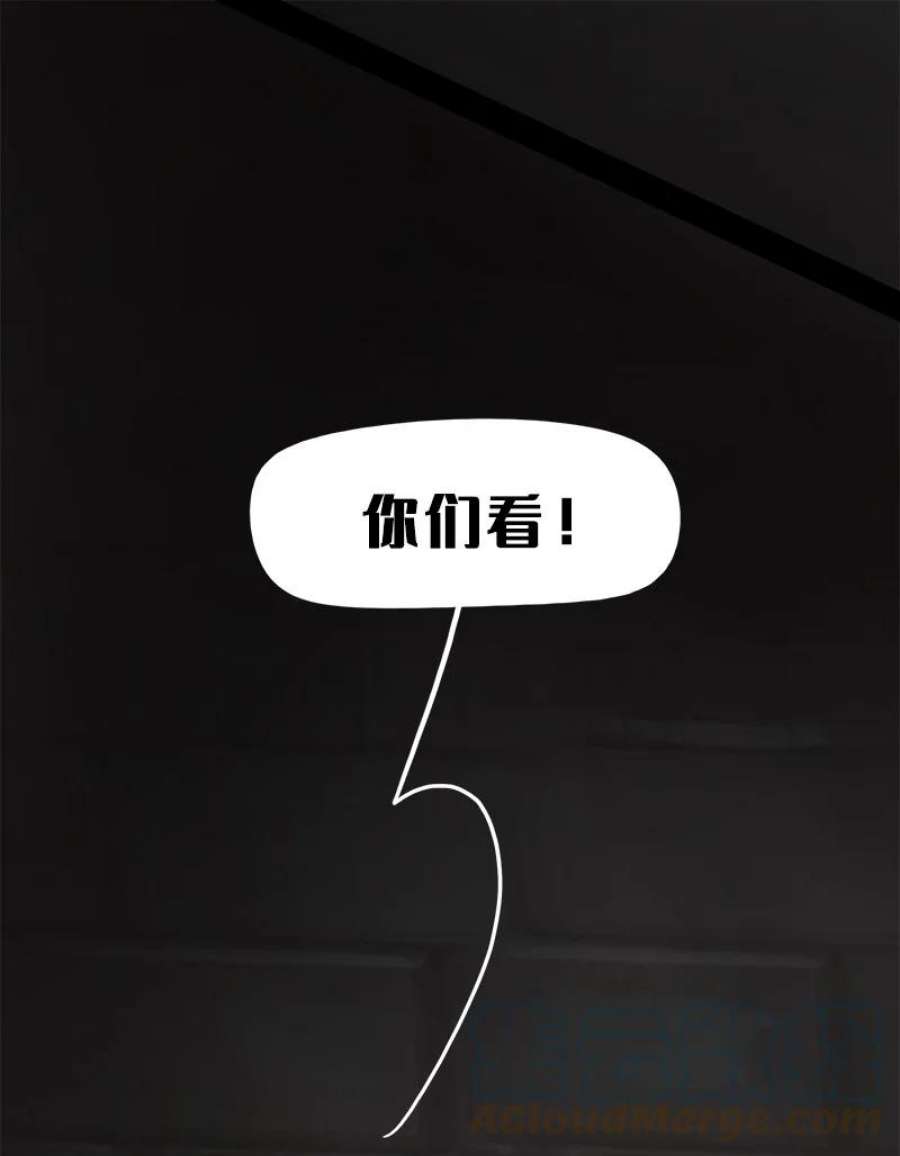 艾斯兰传说13 觉醒