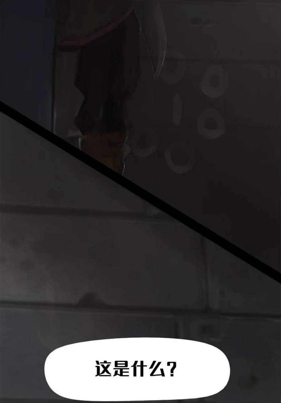 艾斯兰传说13 觉醒