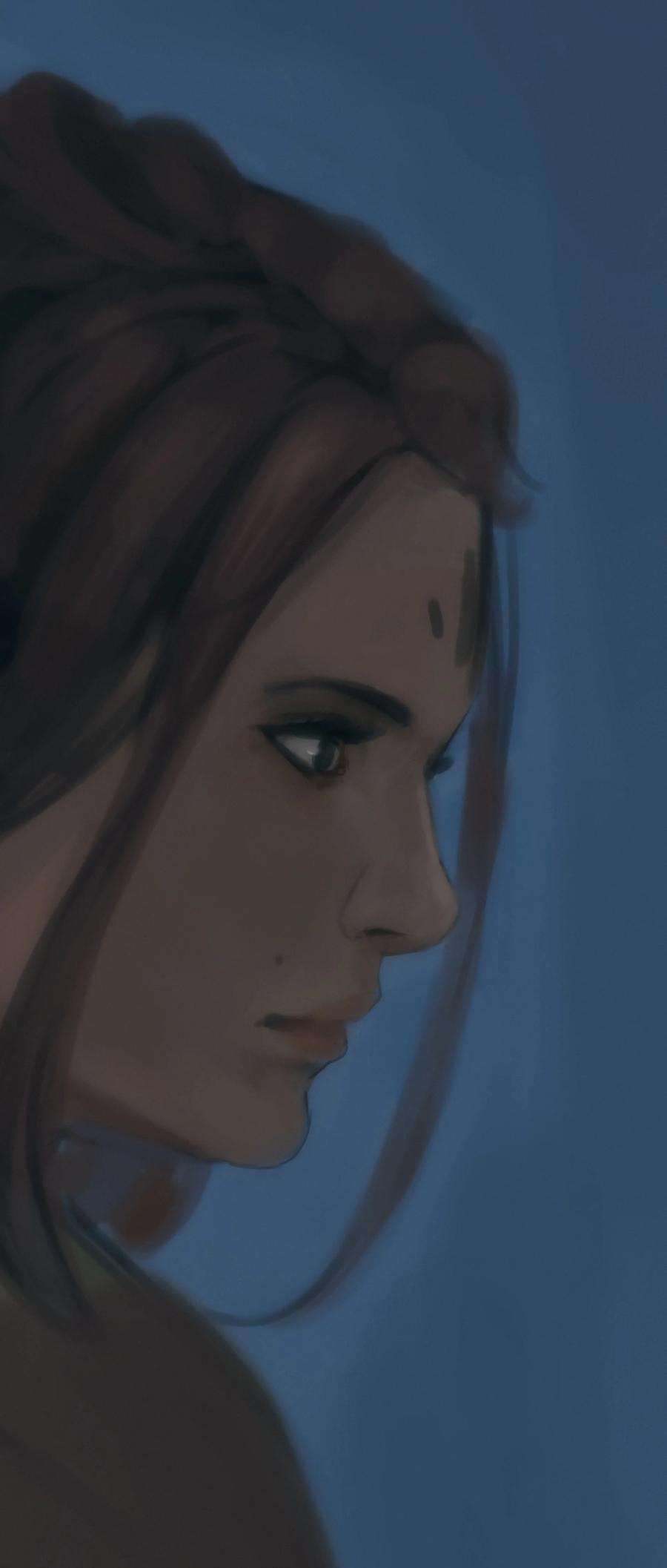 艾斯兰传说14 准备工作