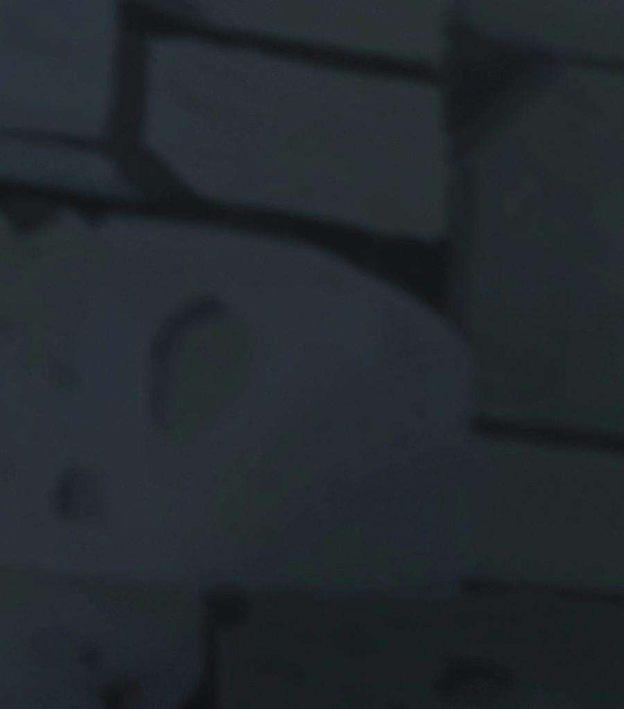 艾斯兰传说14 准备工作