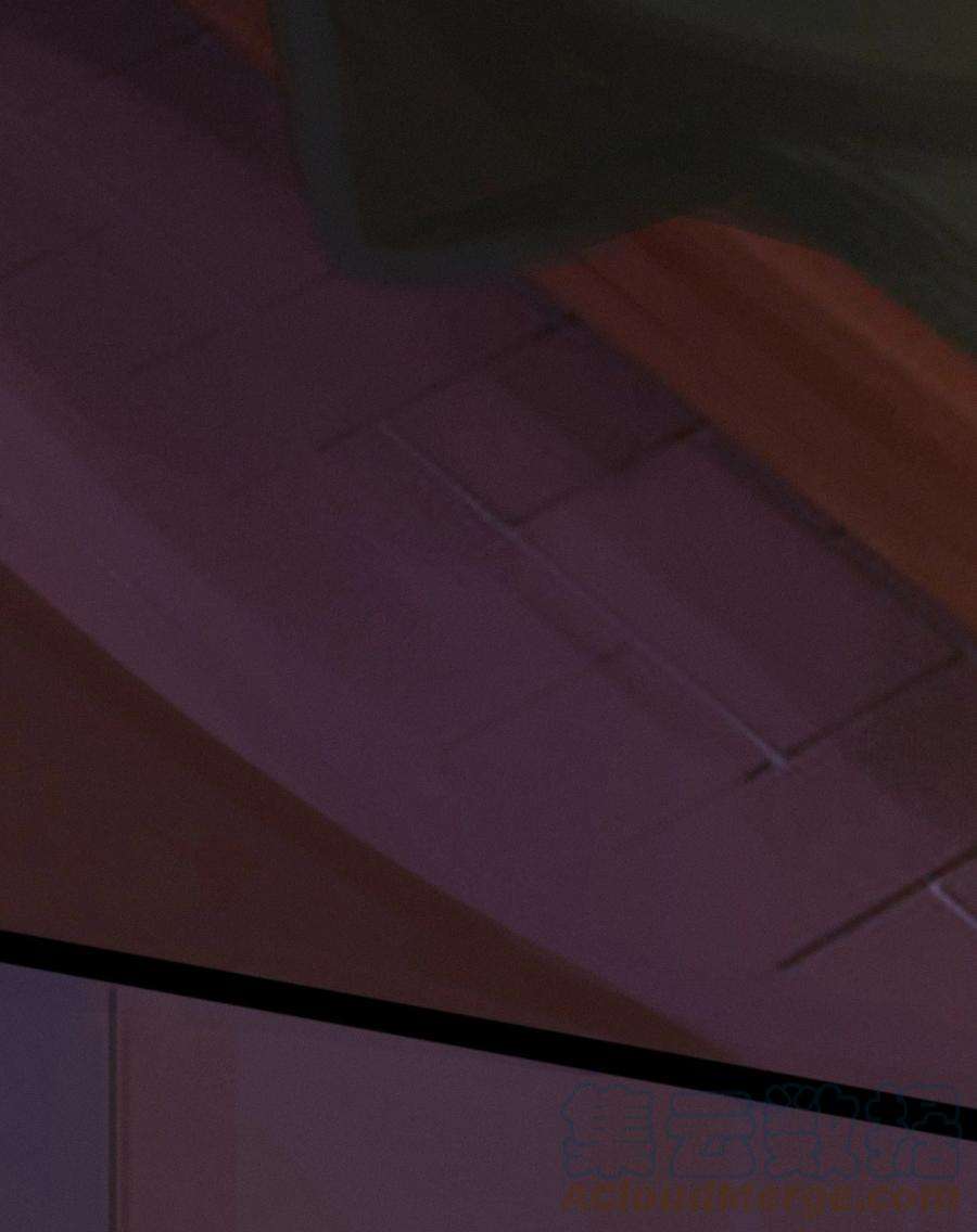 艾斯兰传说17 深思熟虑
