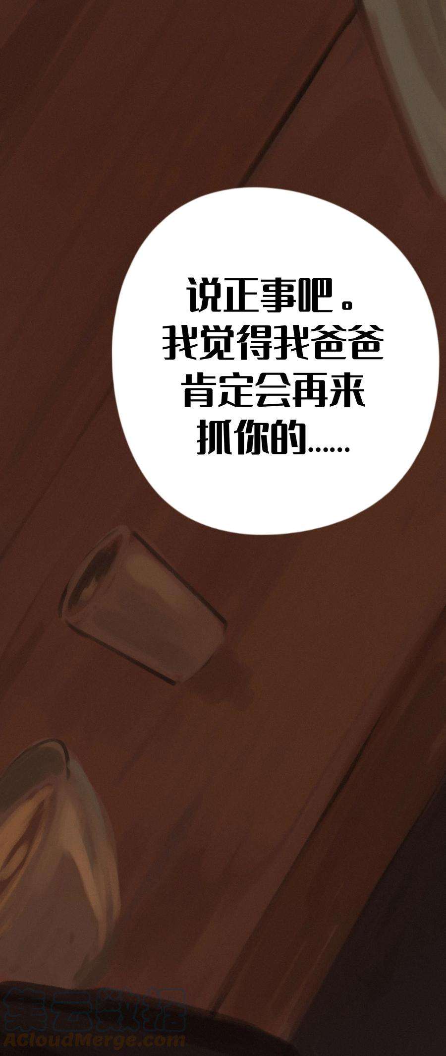 艾斯兰传说17 深思熟虑