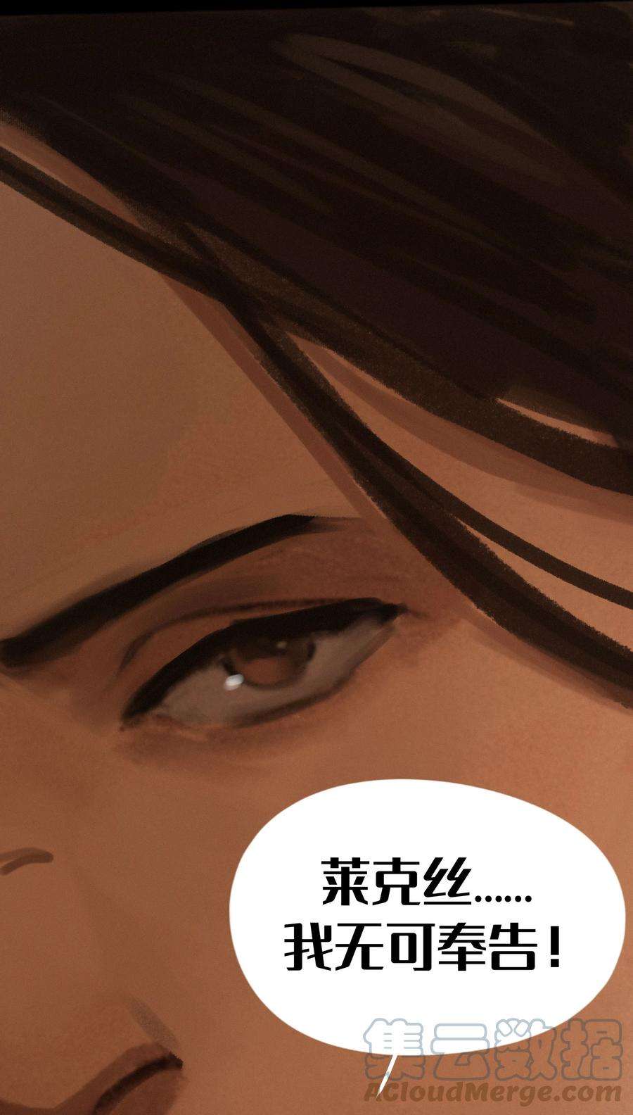 艾斯兰传说17 深思熟虑