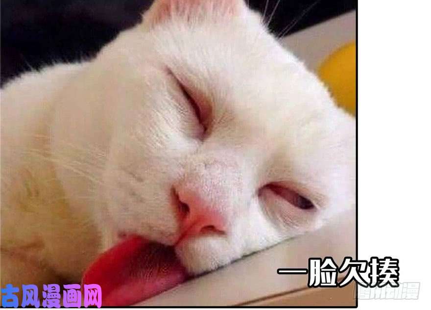恰似寒光遇骄阳第三十三话 撕开真面目！