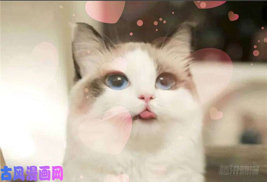 恰似寒光遇骄阳第三十三话 撕开真面目！