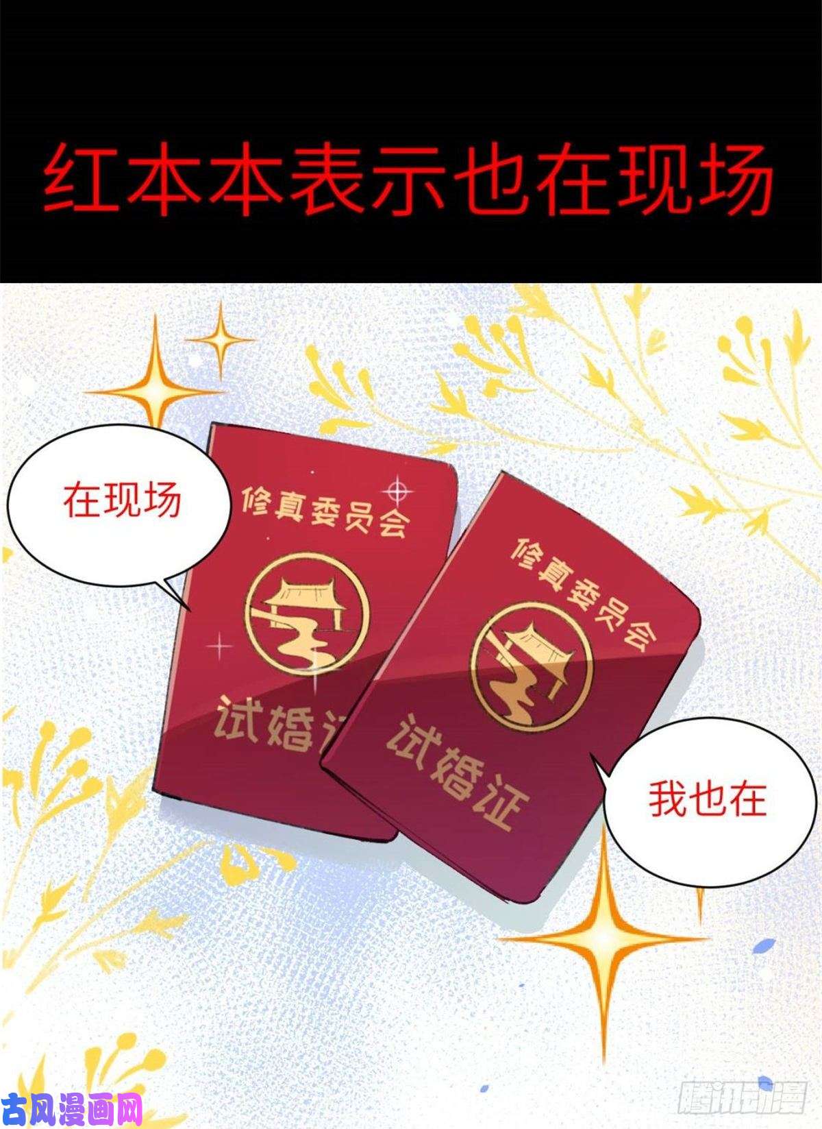 恰似寒光遇骄阳第九十话 传销团队？