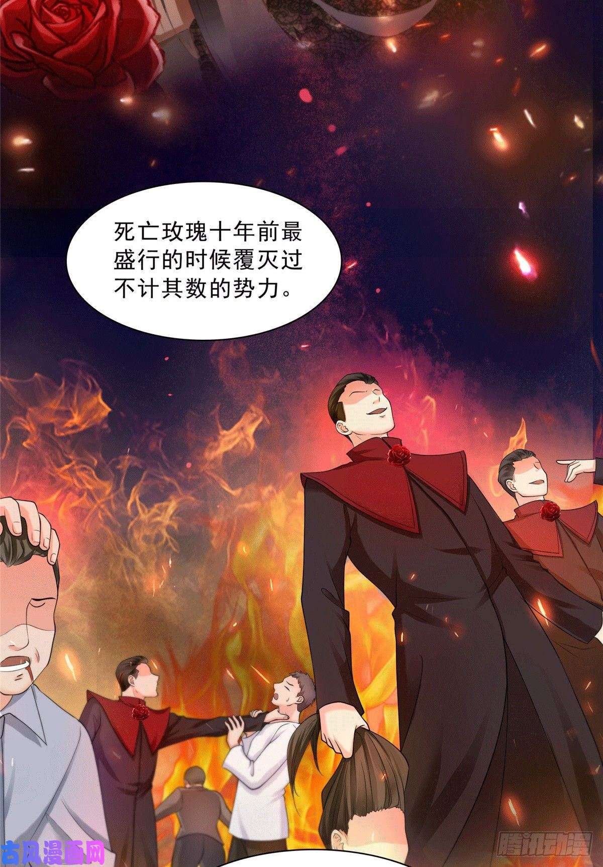 恰似寒光遇骄阳第一百零四话 死亡玫瑰