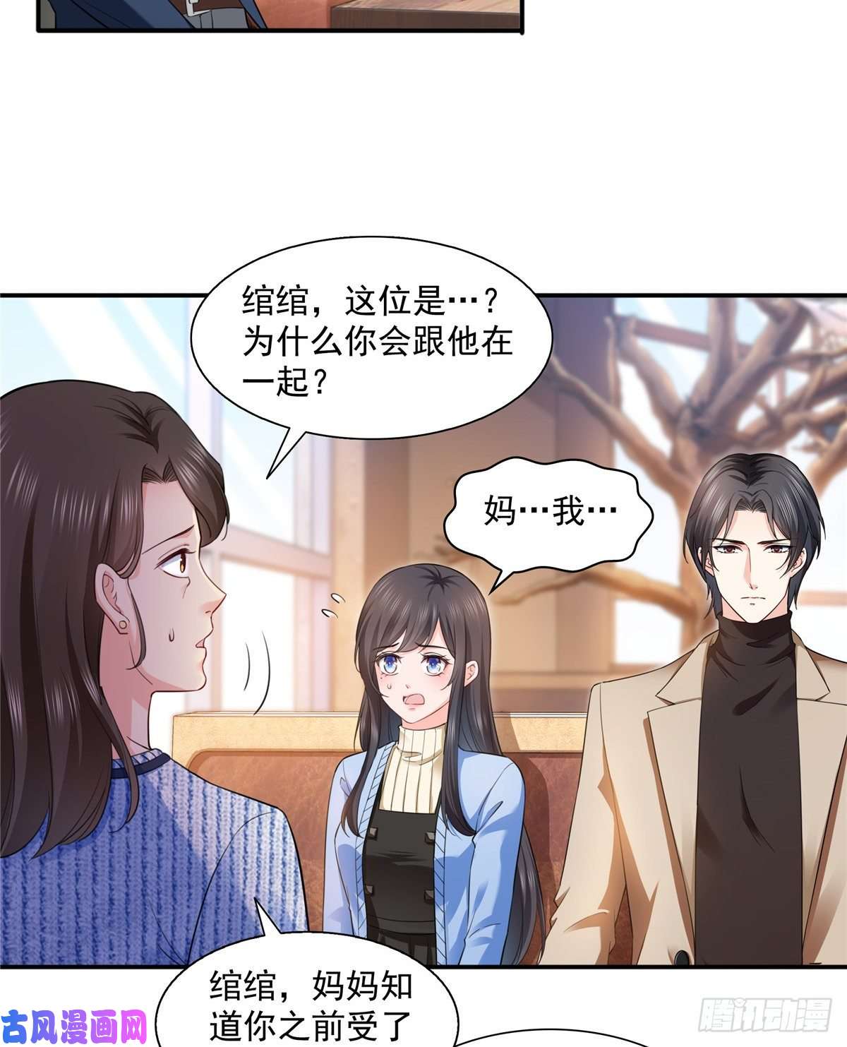 恰似寒光遇骄阳第一百四十一话 岳父岳母的审判