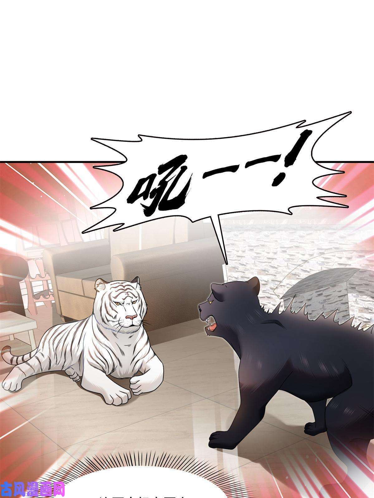 恰似寒光遇骄阳第278话 大白和小黑