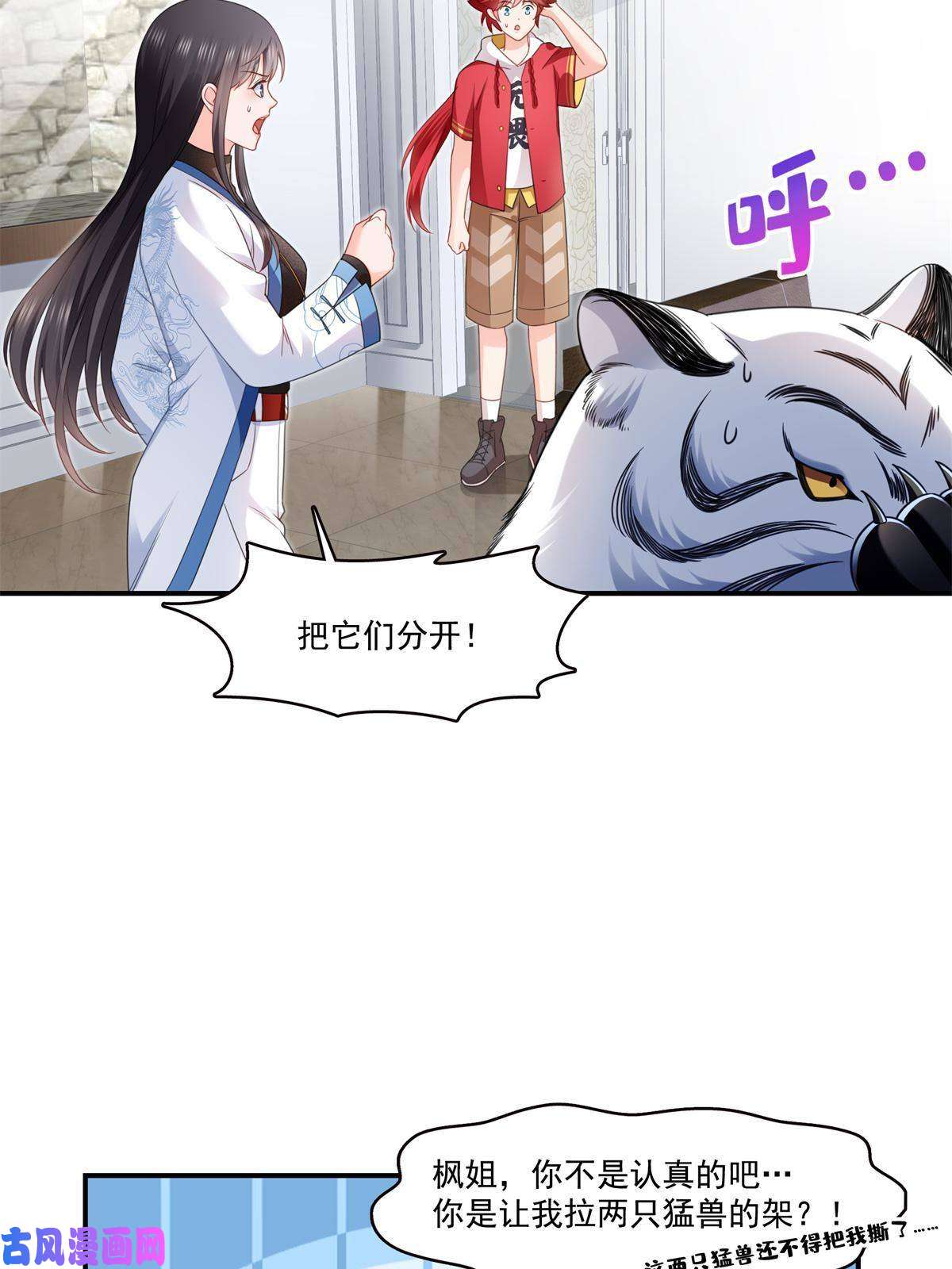 恰似寒光遇骄阳第278话 大白和小黑