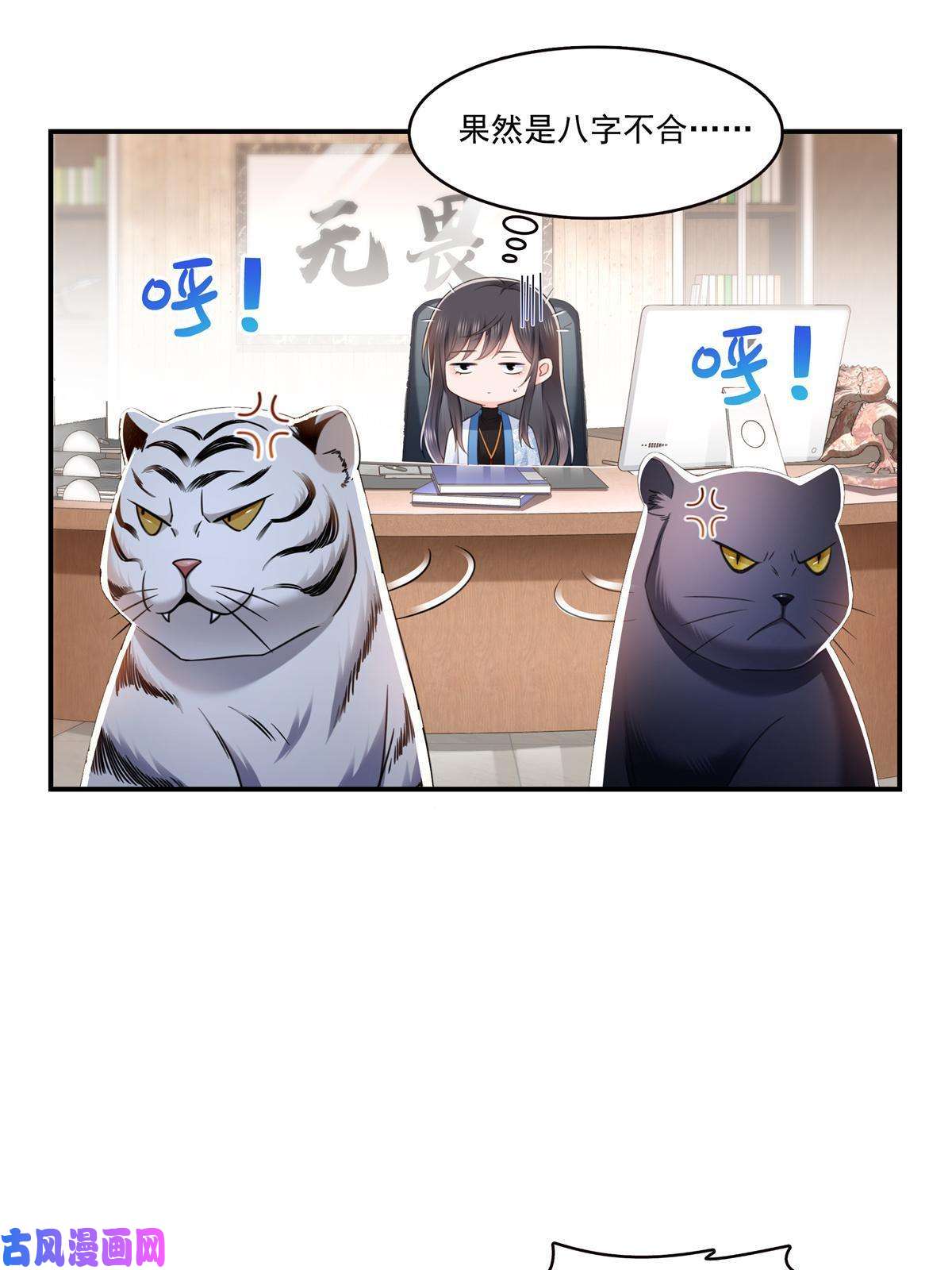恰似寒光遇骄阳第278话 大白和小黑