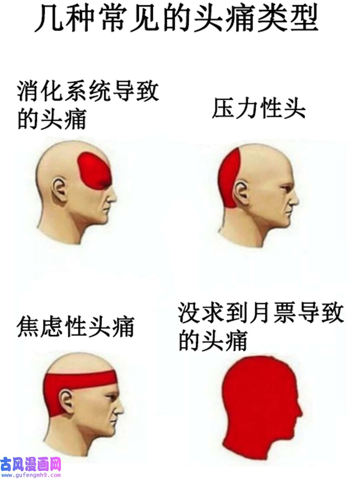 恰似寒光遇骄阳第295话 相遇