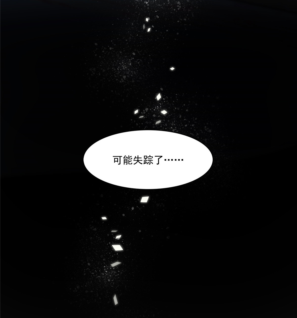 恰似寒光遇骄阳252 九爷，失踪了……