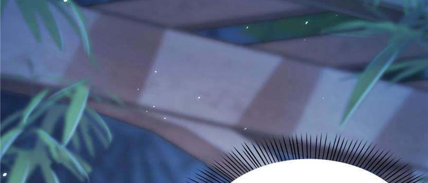 恰似寒光遇骄阳二十五话 那片星光