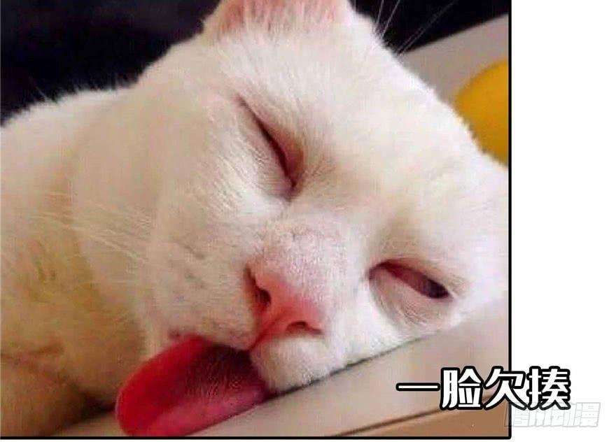 恰似寒光遇骄阳三十三话 撕开真面目！