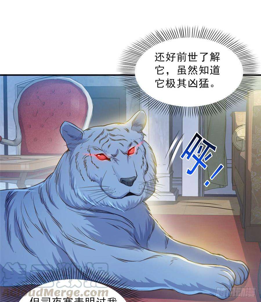 恰似寒光遇骄阳四十七话 不是给我的？