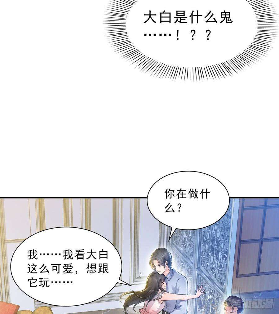 恰似寒光遇骄阳四十七话 不是给我的？