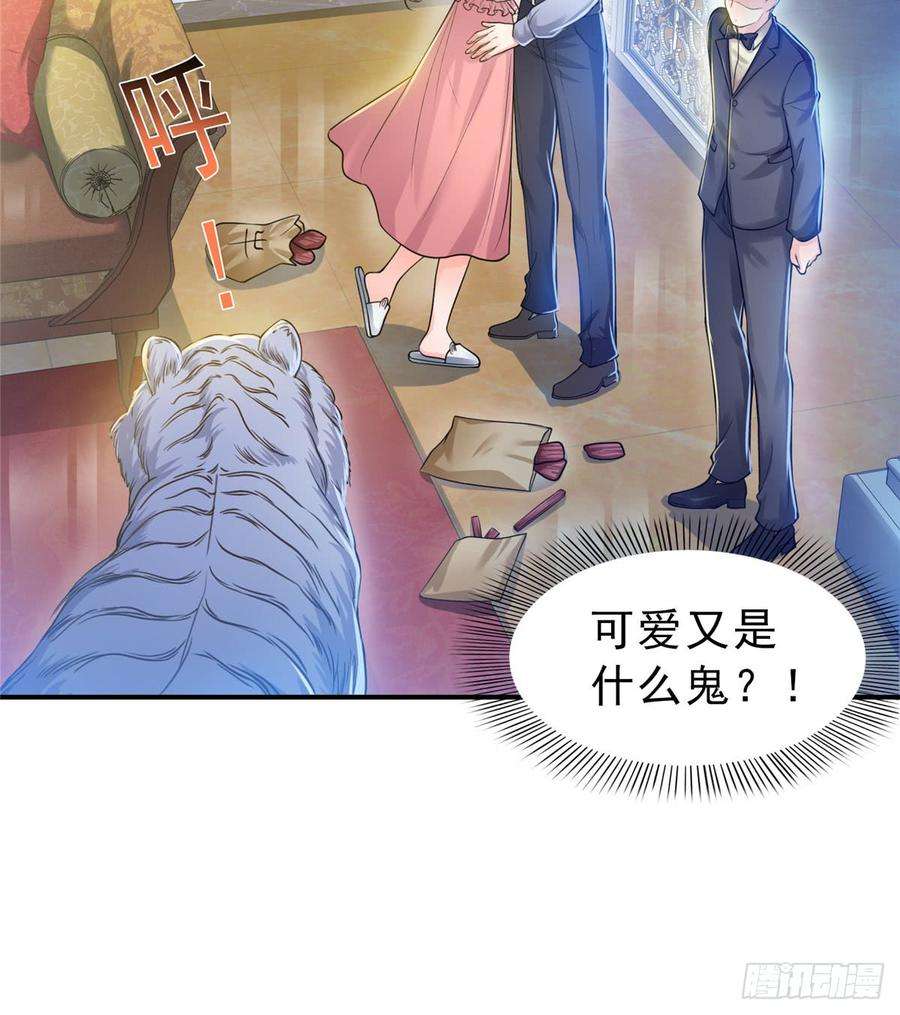 恰似寒光遇骄阳四十七话 不是给我的？