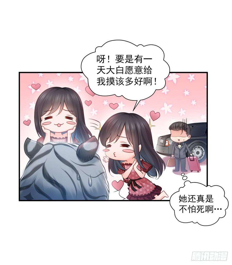 恰似寒光遇骄阳六十四话 我男朋友那么帅