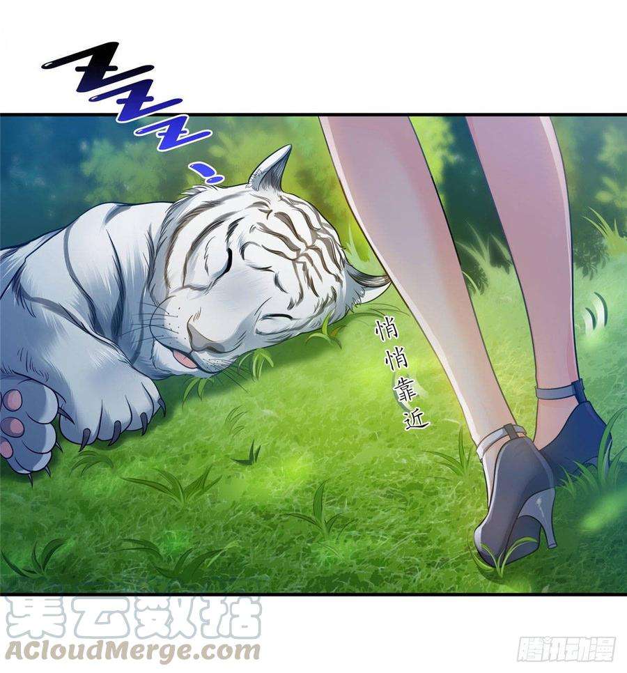 恰似寒光遇骄阳六十七话 自由的条件