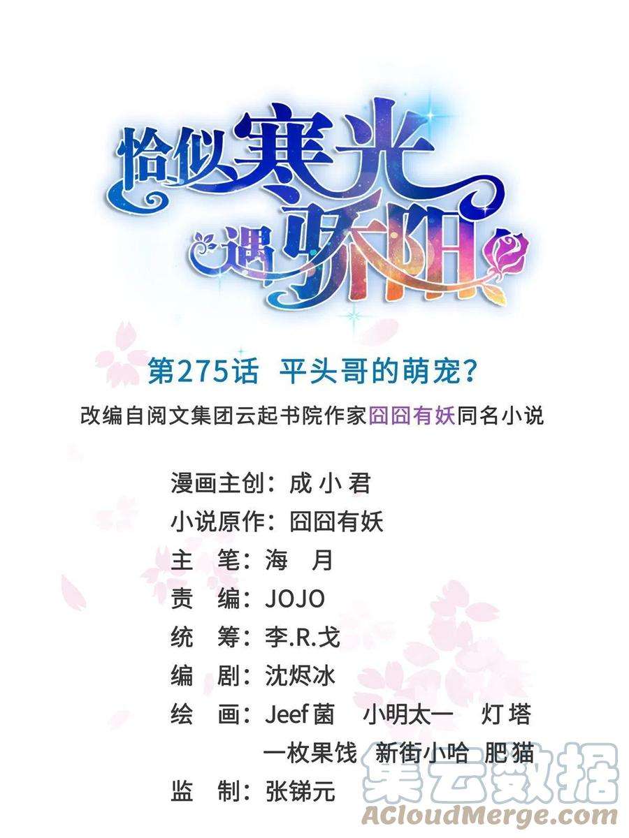 恰似寒光遇骄阳275话 平头哥的萌宠？