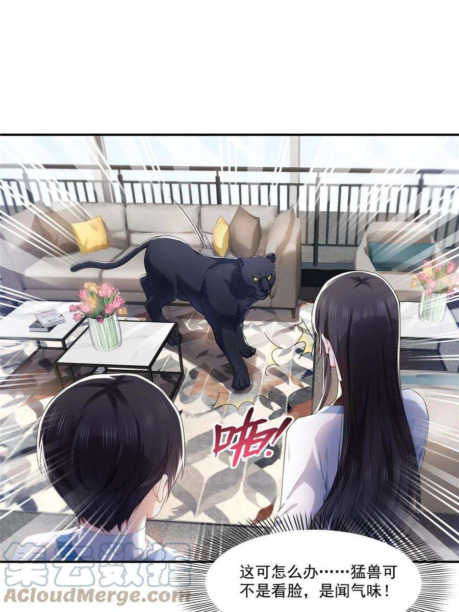 恰似寒光遇骄阳275话 平头哥的萌宠？