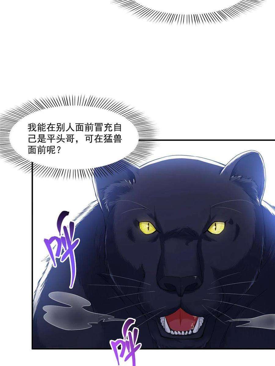 恰似寒光遇骄阳275话 平头哥的萌宠？