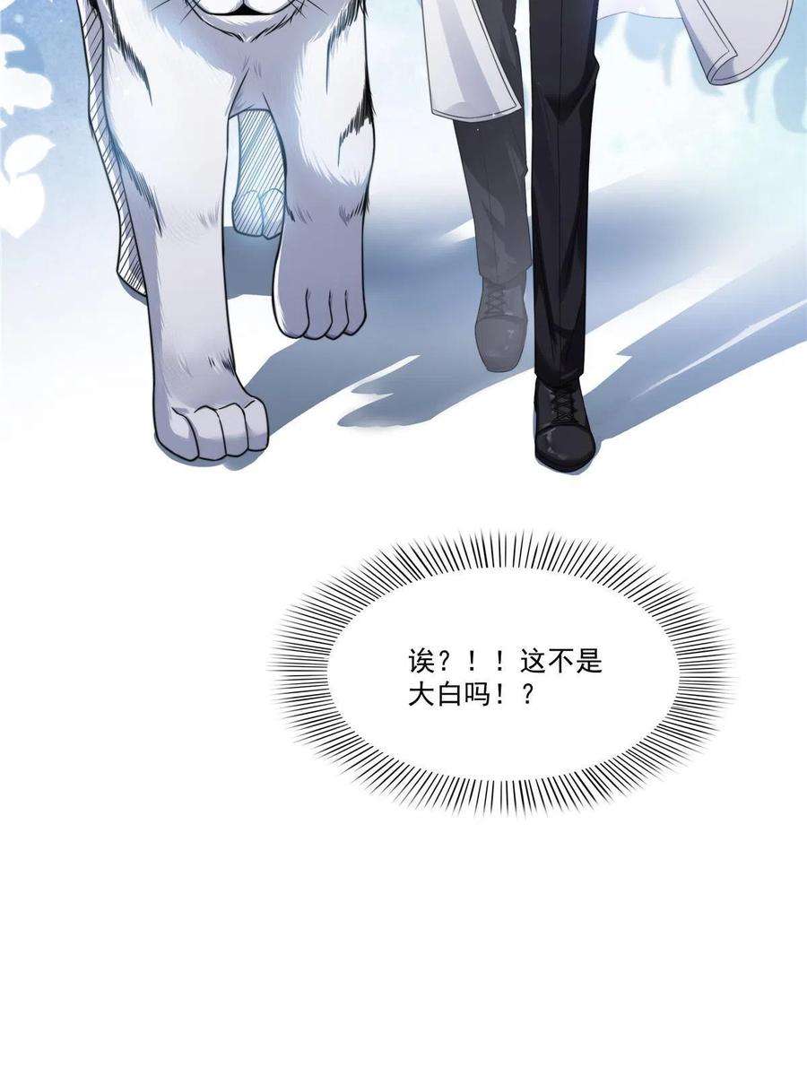 恰似寒光遇骄阳277话 也是你的宠物