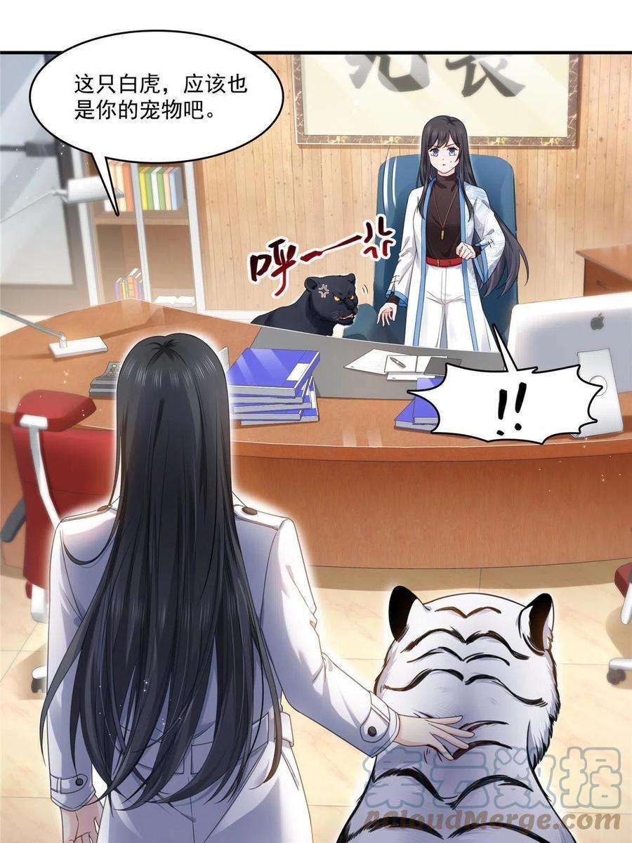 恰似寒光遇骄阳277话 也是你的宠物
