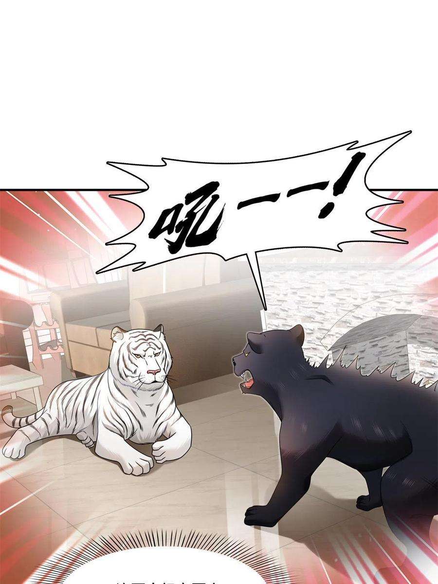 恰似寒光遇骄阳278话 大白和小黑