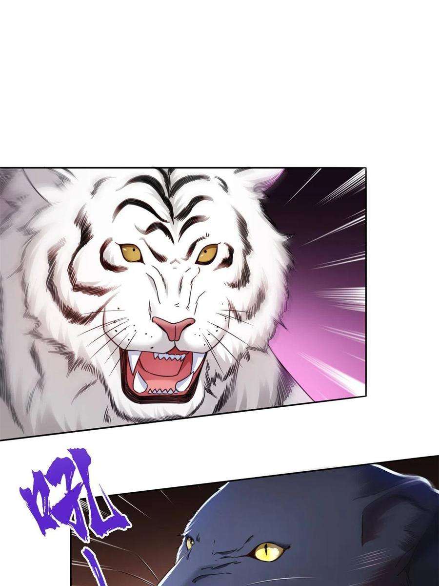 恰似寒光遇骄阳278话 大白和小黑