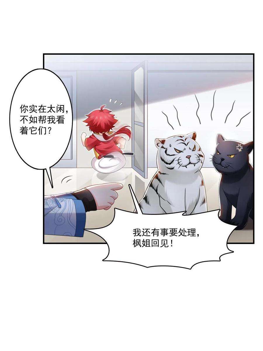 恰似寒光遇骄阳278话 大白和小黑