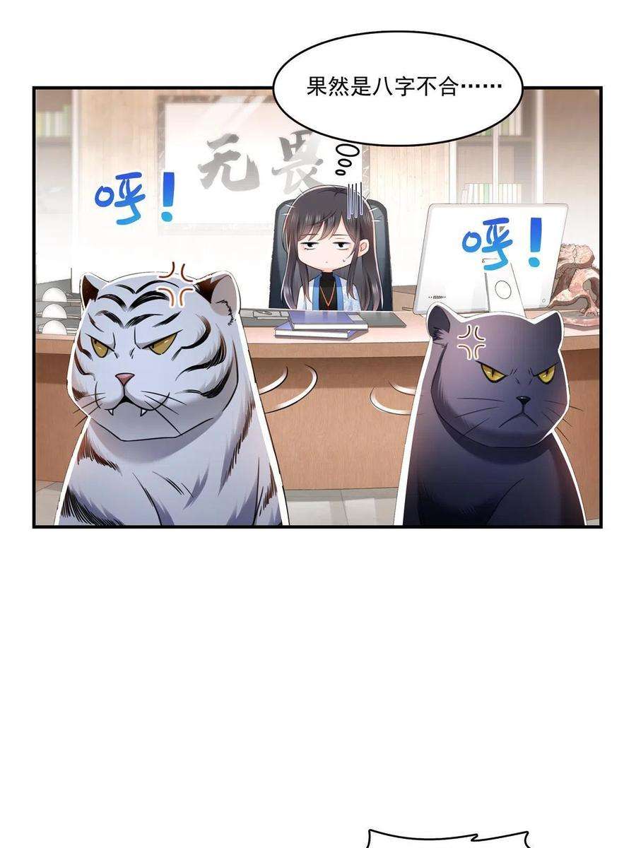 恰似寒光遇骄阳278话 大白和小黑