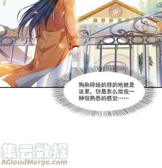恰似寒光遇骄阳281话 难以置信的来电